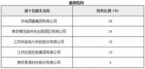 江蘇南京物聯(lián)網(wǎng)技術(shù)服務(wù)公司股權(quán)招投標(biāo)代理服務(wù)解析